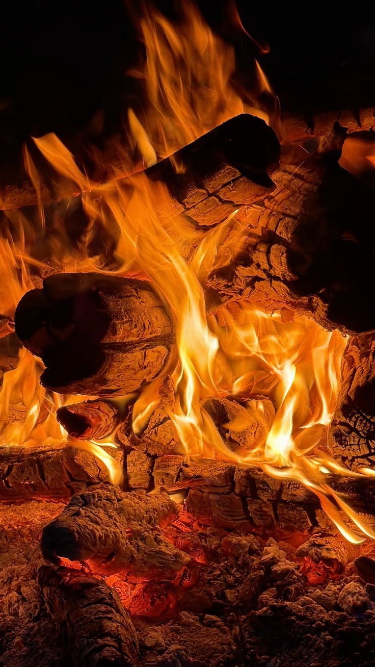Fire — The Warrior