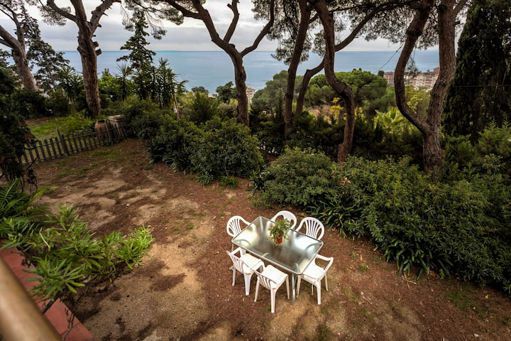 The garden under the pines with the sea beyond