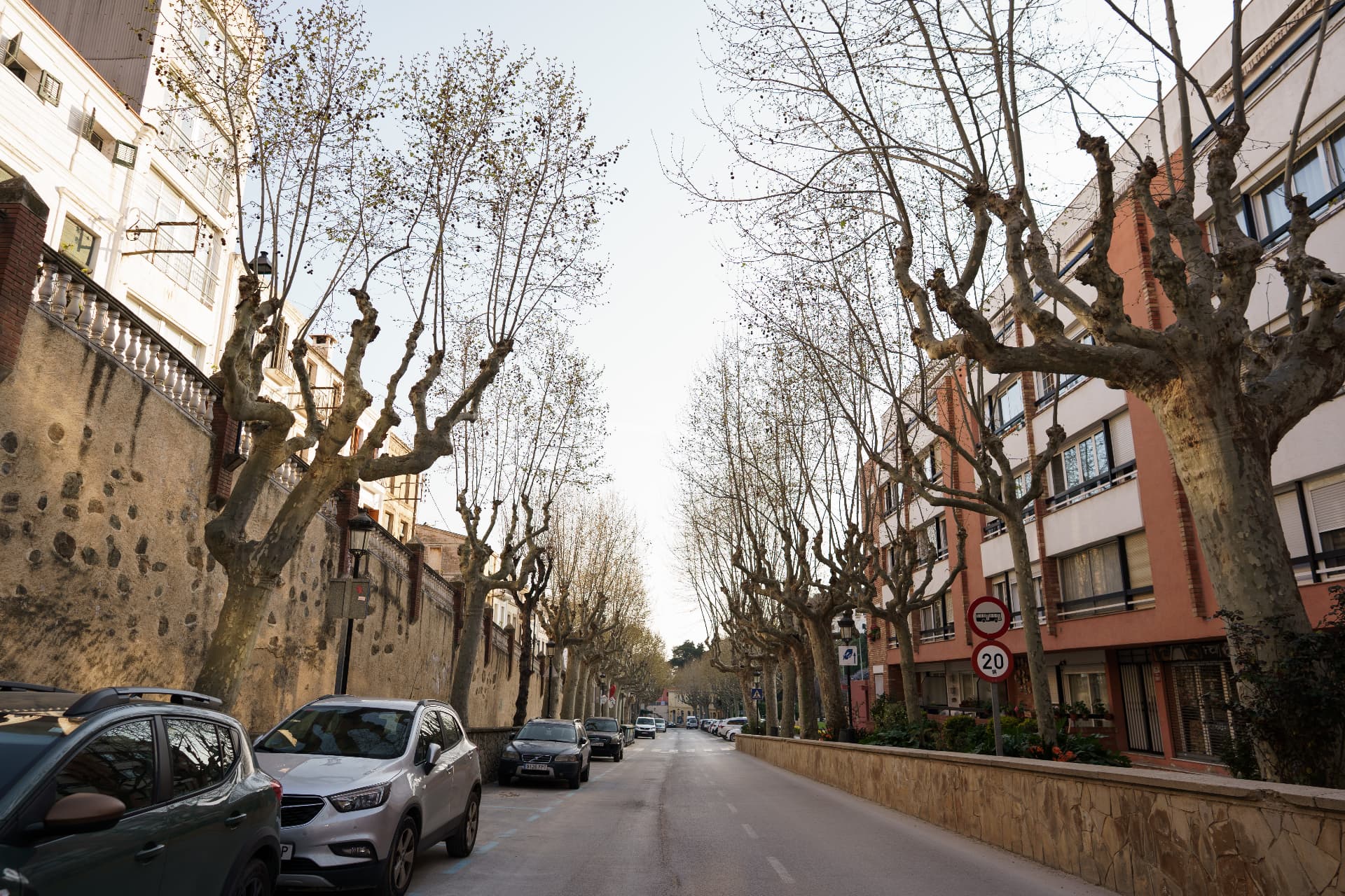 A quiet street lined with plane trees in Caldes d'Estrac