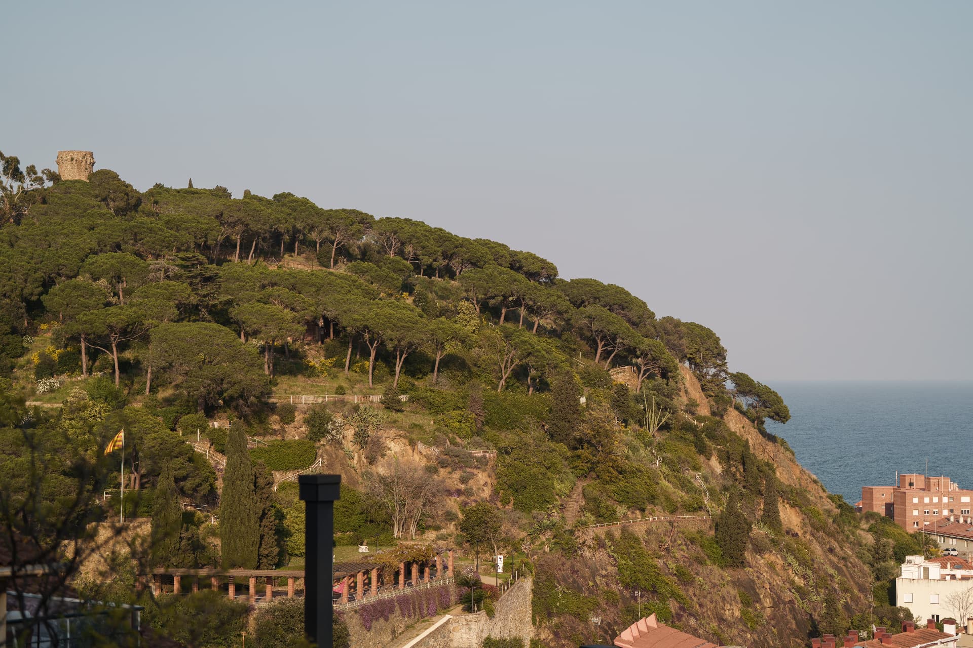 The forested headland with its old watchtower above the sea