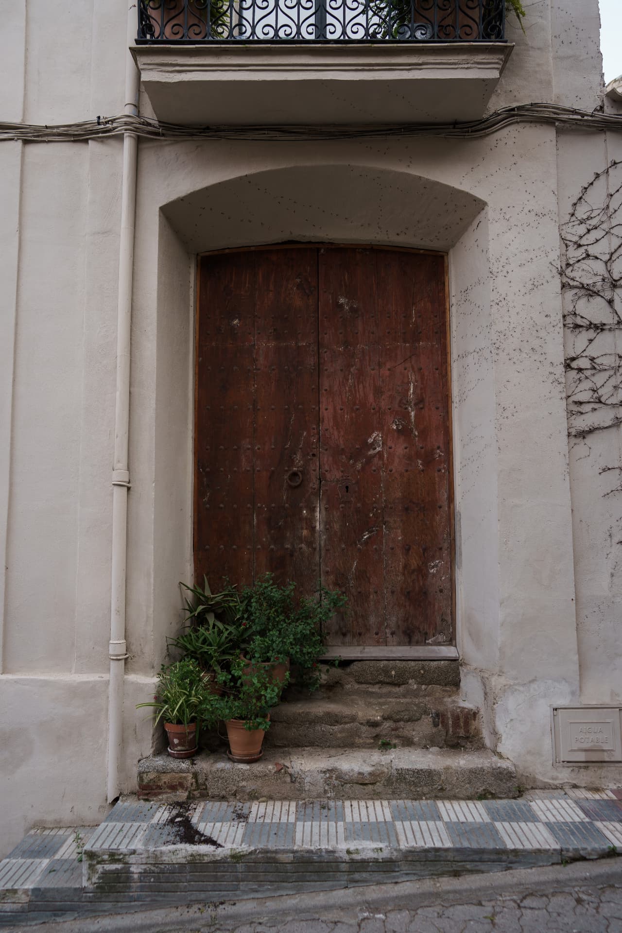 An old wooden door with potted plants on stone steps
