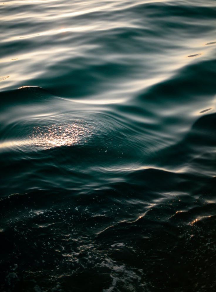 Water — The Lover